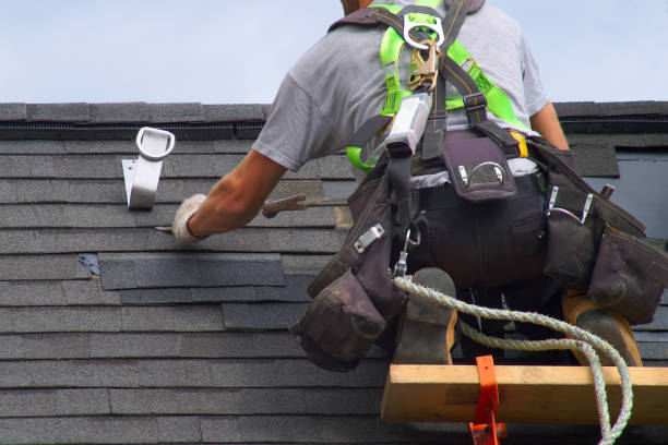 Best Residential Roofing Contractor  in Level Plains, AL
