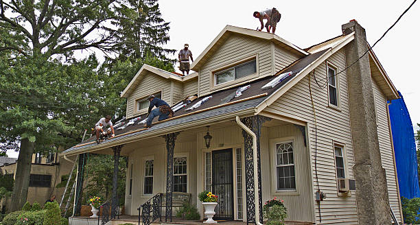 Best Roof Maintenance Services  in Level Plains, AL